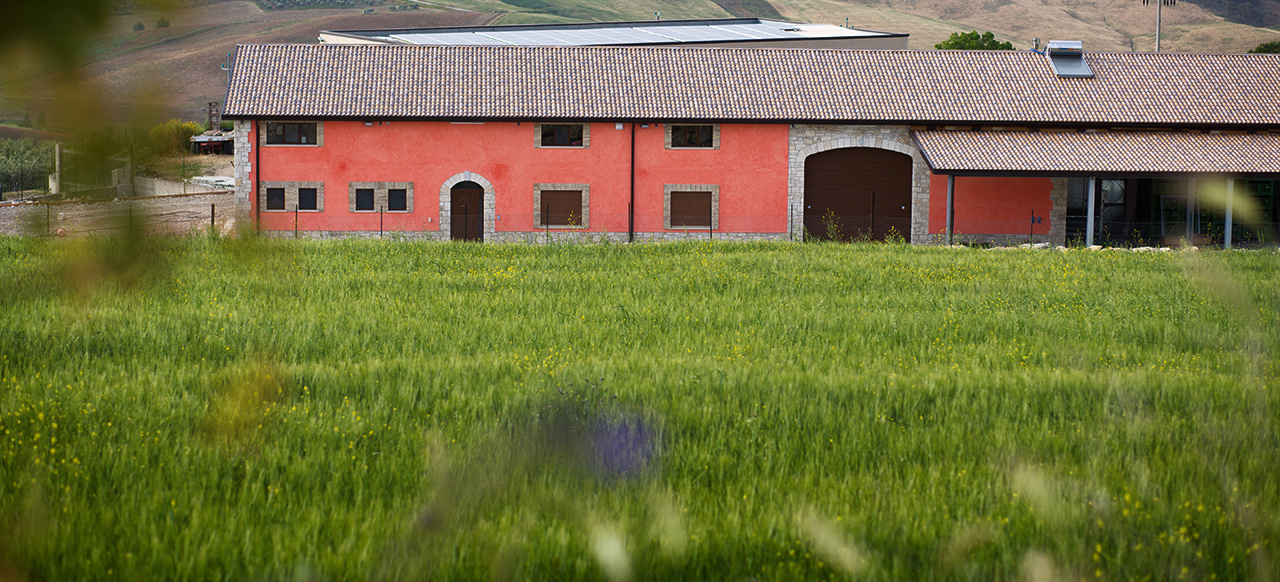 azienda-agricola-plumeri-esterno